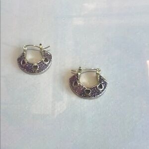 Elegant Silver Hoop Earrings